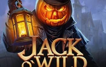Jack O’Wild